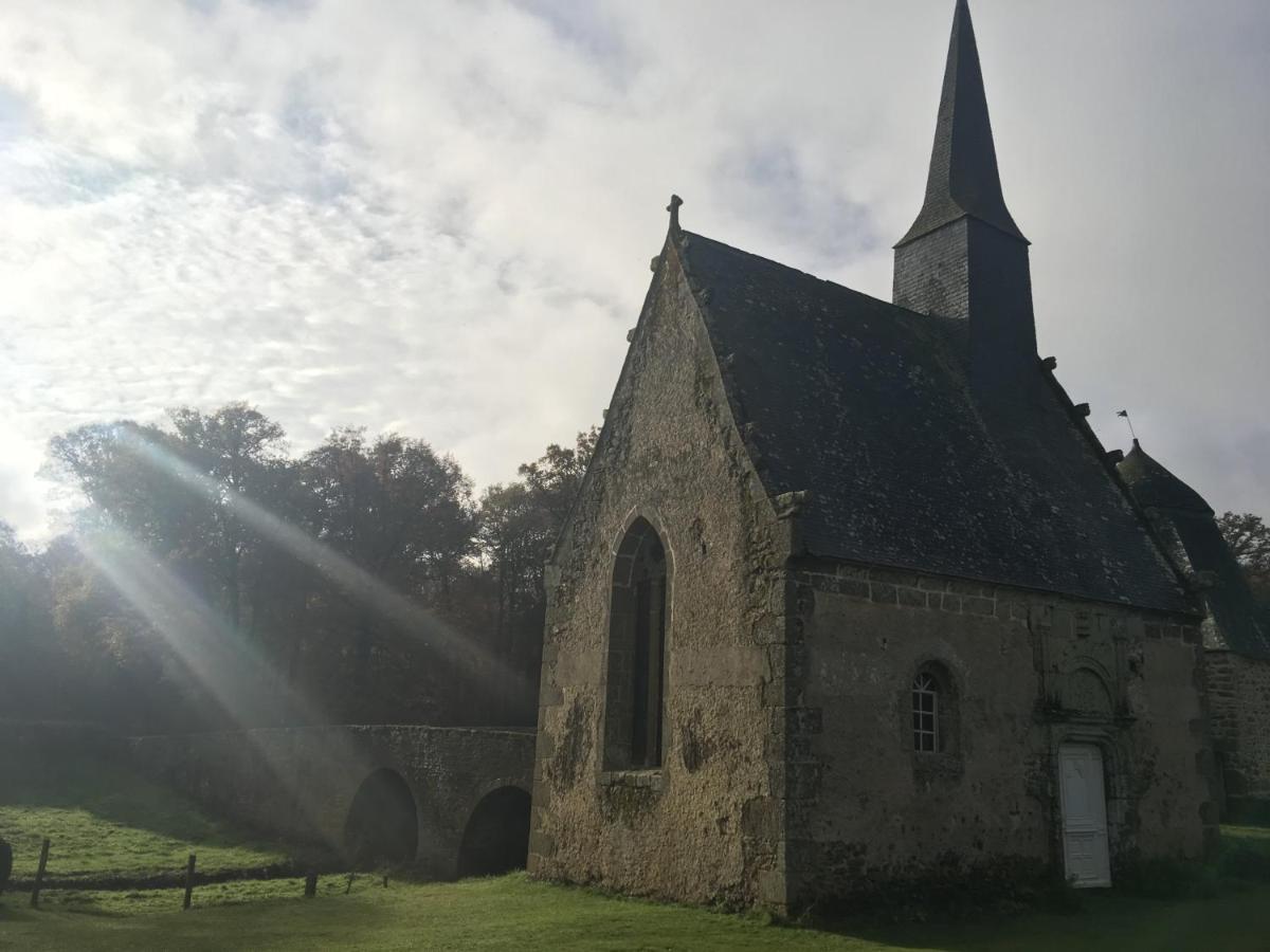 Chateau De Bourgon Montourtier Bagian luar foto