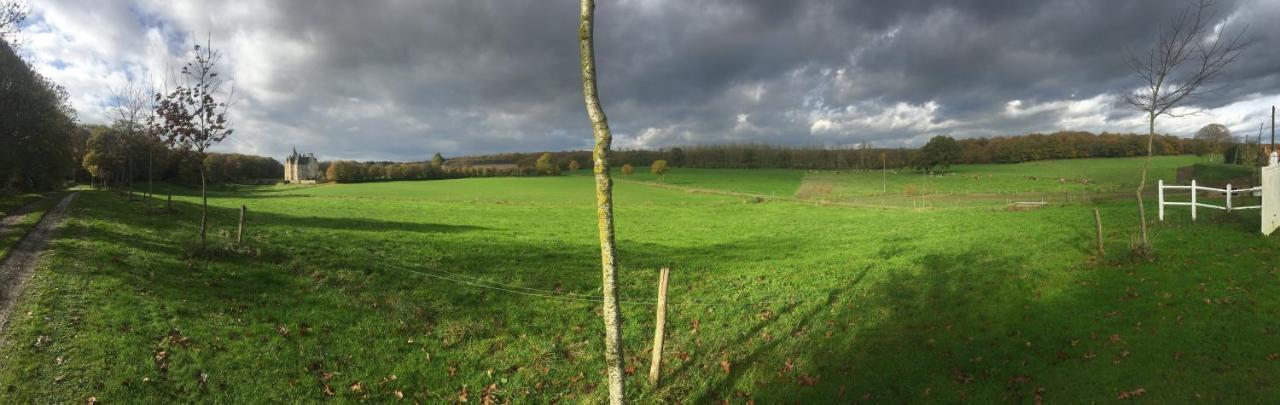 Chateau De Bourgon Montourtier Bagian luar foto